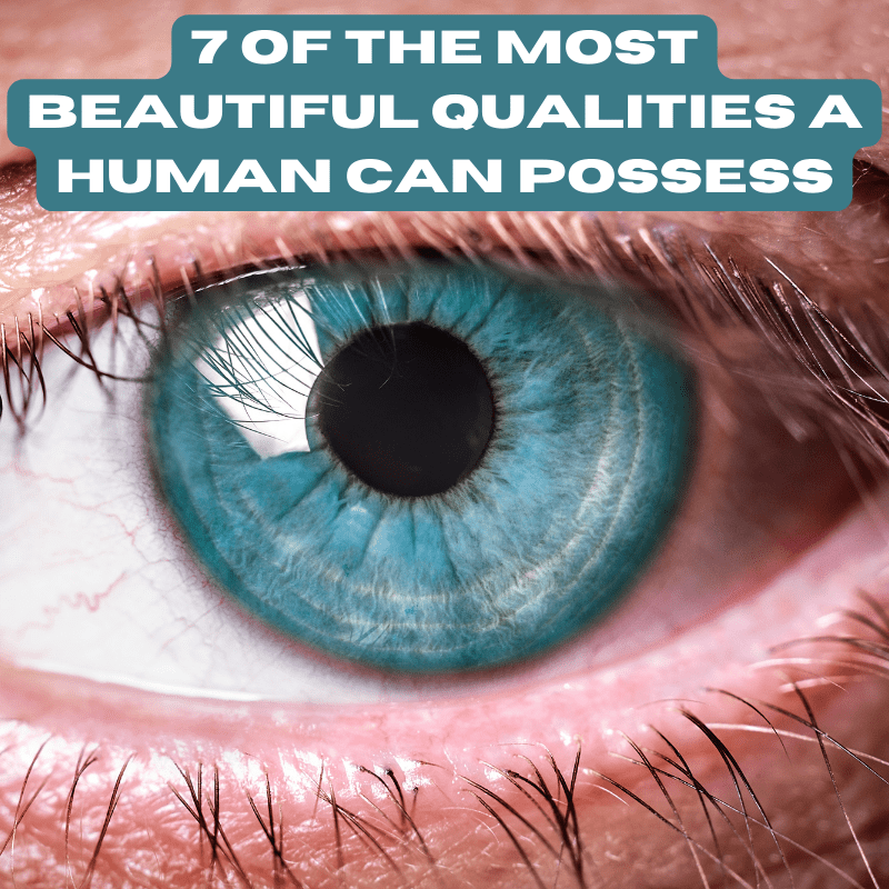 7 Of The Most Beautiful Qualities A Human Can Possess