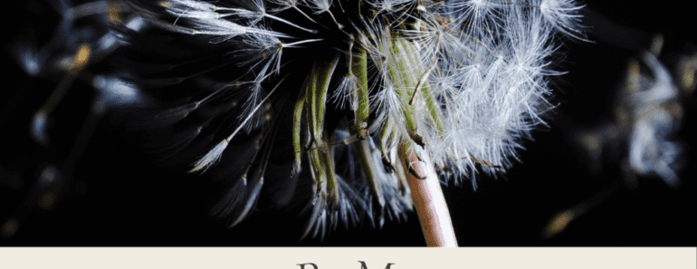 12 Affirmations To Help You Let It Go