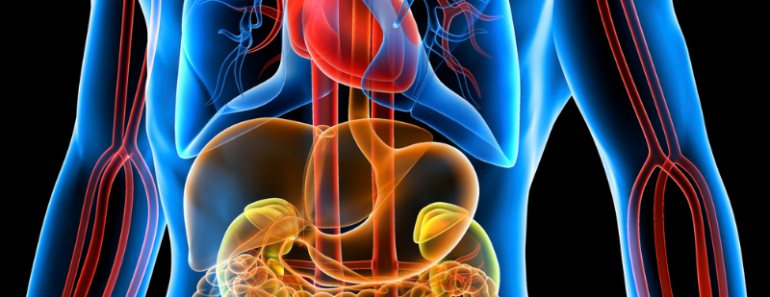 Boosting The Body’s Natural Detox Process: Tips And Supplements